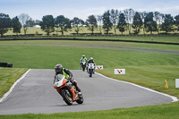 Lower Group Orange Bikes